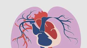 Hipertensão arterial pulmonar: entenda a doença de Lígia em "Três Graças"