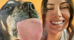 Por Dentro da Companhia Aérea Que Leva Pets na Primeira Classe