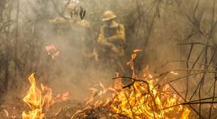 Governo lança painel inédito para rastrear gastos ambientais