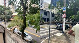 Ventania no Brasil: estamos perto de ter um tornado ou furacão? Entenda