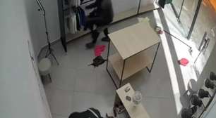 Ladrão furta loja de roupas em Ribeirão Preto e causa prejuízo de R$ 15 mil