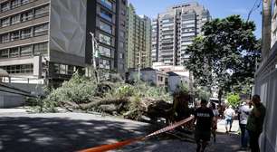 Após vendaval em SP, qual o próximo destino do ciclone extratropical formado no Sul do Brasil?