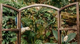 Escultura de beija-flor em hospital celebra a famosa música que Cazuza compôs durante internação