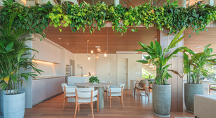 Arquitetura prioriza inovação e soluções atemporais