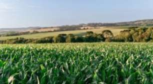 Programa "Gold Card" de Trump Abre Inscrições Para Vistos de US$ 1 Milhão