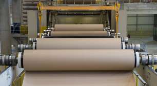 "Alta atividade e durabilidade excepcional": resíduos de fábricas de papel podem gerar energia limpa e barata