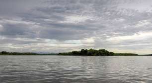 Há hipopótamos selvagens na Colômbia e eles viraram atração turística