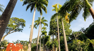 BioParque do Rio tem programação especial de Natal com Papai Noel e oficinas; veja datas