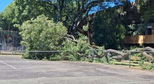 Veja o reestabelecimento da luz em SP tempo real