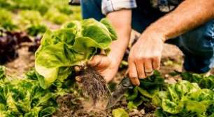 Mesmo com Black Friday, Varejo Tem Queda de 1,6% em Novembro, Aponta Índice Stone