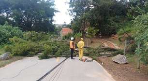 Quase 24h após ventania, mais de 1,5 milhão de imóveis seguem sem energia; veja mapa