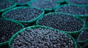 Cidade é ideal para chefs e amantes da gastronomia que querem descobrir os sabores únicos da Amazônia