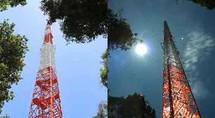 Torre Alta da Amazônia tem observatório que monitora o clima global