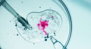 Fertilização in Vitro: 8 informações essenciais para entender o tratamento