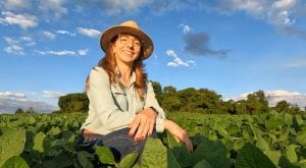 Conab Reduz Soja para 177 Milhões de Toneladas, Mas Safra Recorde Continua