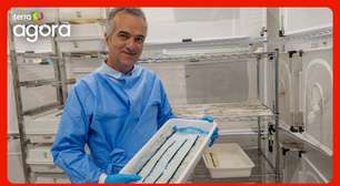 Cientista brasileiro que inovou ao elaborar 'mosquitos da dengue saudáveis' explica método