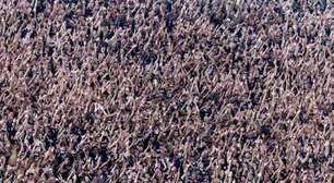 Torcida organizada do Corinthians volta a ser proibida de entrar em estádios