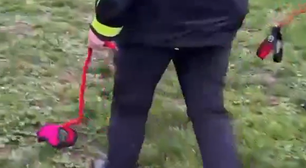 O que é Hobby Dogging: atividade consiste em passear com 'cães invisíveis'