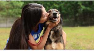 PremieR lança nova geração de alimentos com antioxidantes naturais e foco na saúde do seu pet