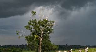 Achávamos que entendíamos a chuva, mas a ciência tem algo a dizer: descobrimos um padrão oculto que muda tudo