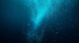 Ela ficou escondida por 21 milhões de anos e finalmente foi revelada: a 'minúscula' surpresa que muda o que sabíamos sobre o oceano