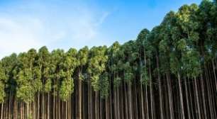 Exportações Do Agronegócio Batem US$ 13,4 Bi Em Novembro E Aproximam Ano De Recorde