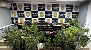 Idoso de 83 anos é preso com 45 pés de maconha e equipamentos para cultivo em Porto Alegre
