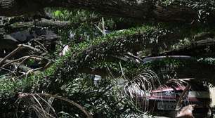 Inmet alerta para ventos de até 100 km/h em São Paulo e Rio de Janeiro