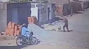 Policial atira e mata pitbull que atacou poodle de estimação no Ceará