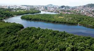 Documentário destaca importância ambiental do maior manguezal urbano do país