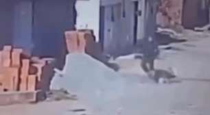 Vídeo mostra ação de PM que atirou e matou pitbull após cão atacar seu poodle de estimação no Ceará