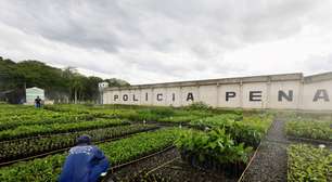 Presos plantarão 200 mil mudas para reflorestar região degradada no RJ