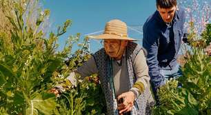 Como microssessões de exercício podem ajudar a viver mais