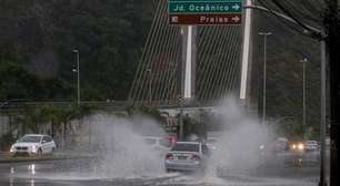 Madrugada teve chuva forte; temporal causou queda de árvores e poste