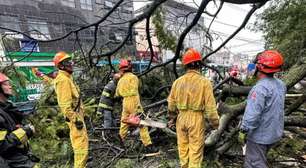 Mulher morre e outra fica ferida em queda de árvore sobre ponto de ônibus na Grande SP