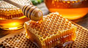 Do campo à mesa: os riscos e fraudes que cercam o mel