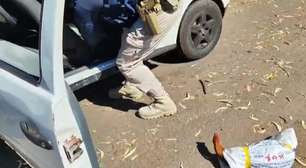 PRF resgata três galos de rinha em situação de maus-tratos na BR-153, em Erechim