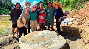 Fóssil de tartaruga gigante de 13 milhões de anos é encontrado no Brasil
