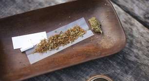 Adeus, "molécula da felicidade": estudo revela o que acontece no cérebro de quem mistura maconha e tabaco