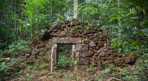 Arqueólogos descobrem cidade do século 18 em plena Floresta Amazônica