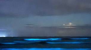 Bioluminescência cria espetáculo de brilho no mar; saiba onde encontrar no país
