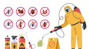 O erro comum que faz insetos sobreviverem ao inseticida e o que você deve fazer para impedir isso