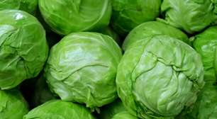 Repolho verde ou roxo: qual é o mais saudável?
