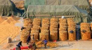 Por que a Geração Z quer Criptomoedas de Natal