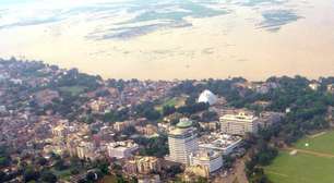 Naja ataca menino de 2 anos, mas é ele que mata a serpente