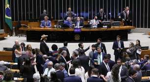 'Só bolsonarismo entendeu importância das eleições para o Congresso', diz cientista política