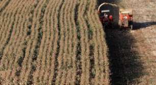 Recuperação Judicial no Agro Salta 150% e Crédito Fica Mais Seletivo