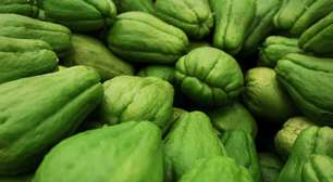 Sopa de chuchu: vou te surpreender com esta sopa deliciosa e leve