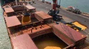 Plantio de Soja no Brasil Atinge 97% no País com Chuvas Regularizadas