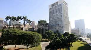 Urbanização, clima extremo e falta de manejo explicam alta queda de árvores na capital paulista